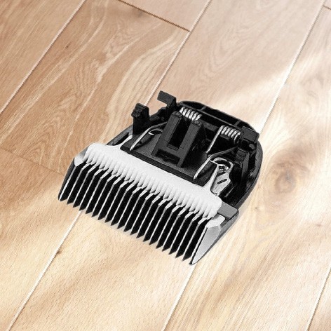 NEW-pateker-イメージ