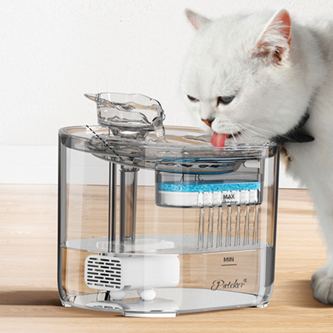 NEW-pateker-イメージ